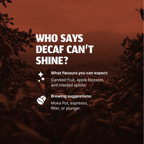 Tribe Decaf