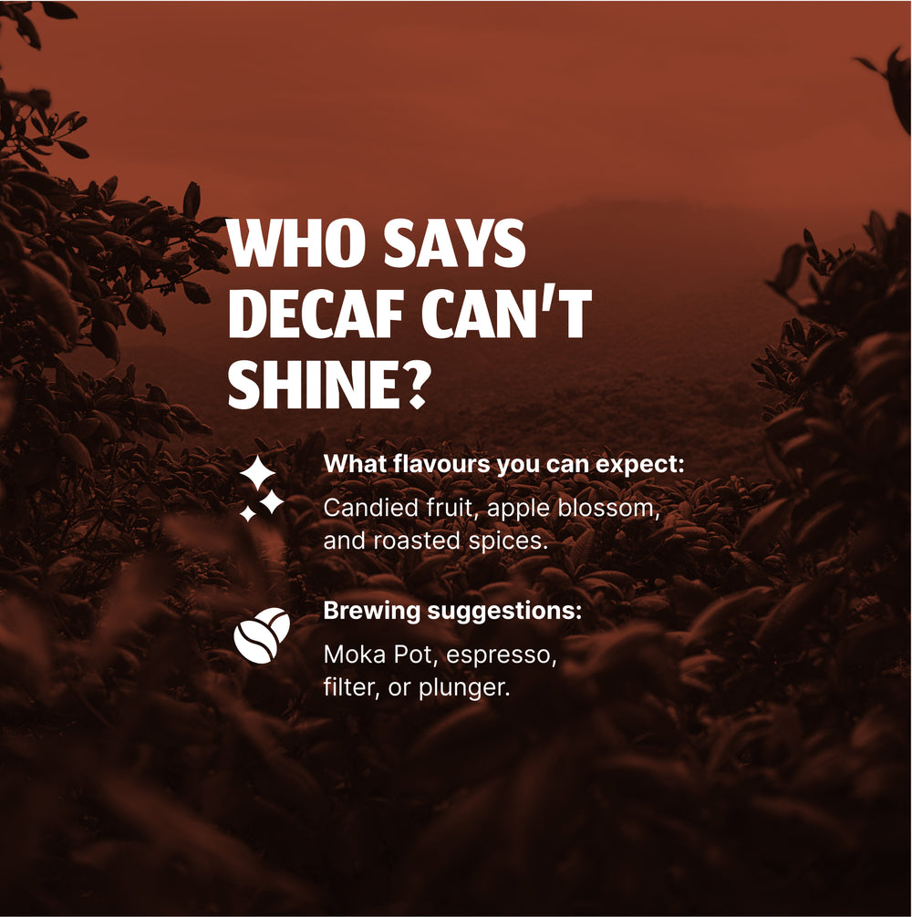 Tribe Decaf
