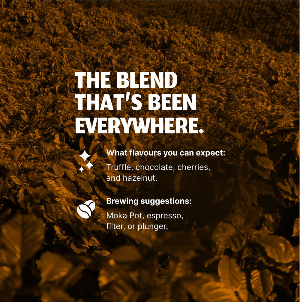 Tribe Espresso
