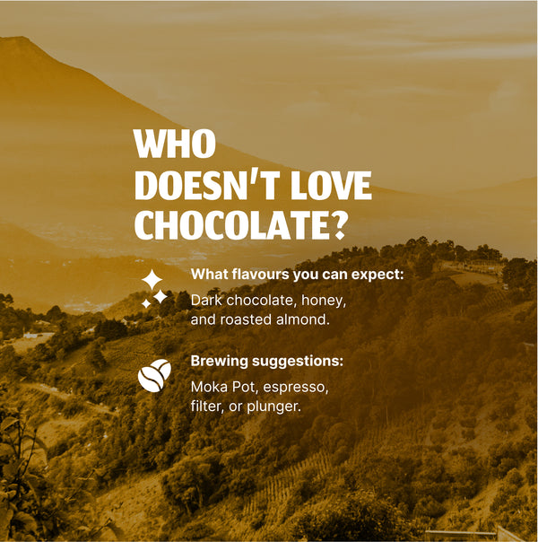 Guatemala Chocolate Block