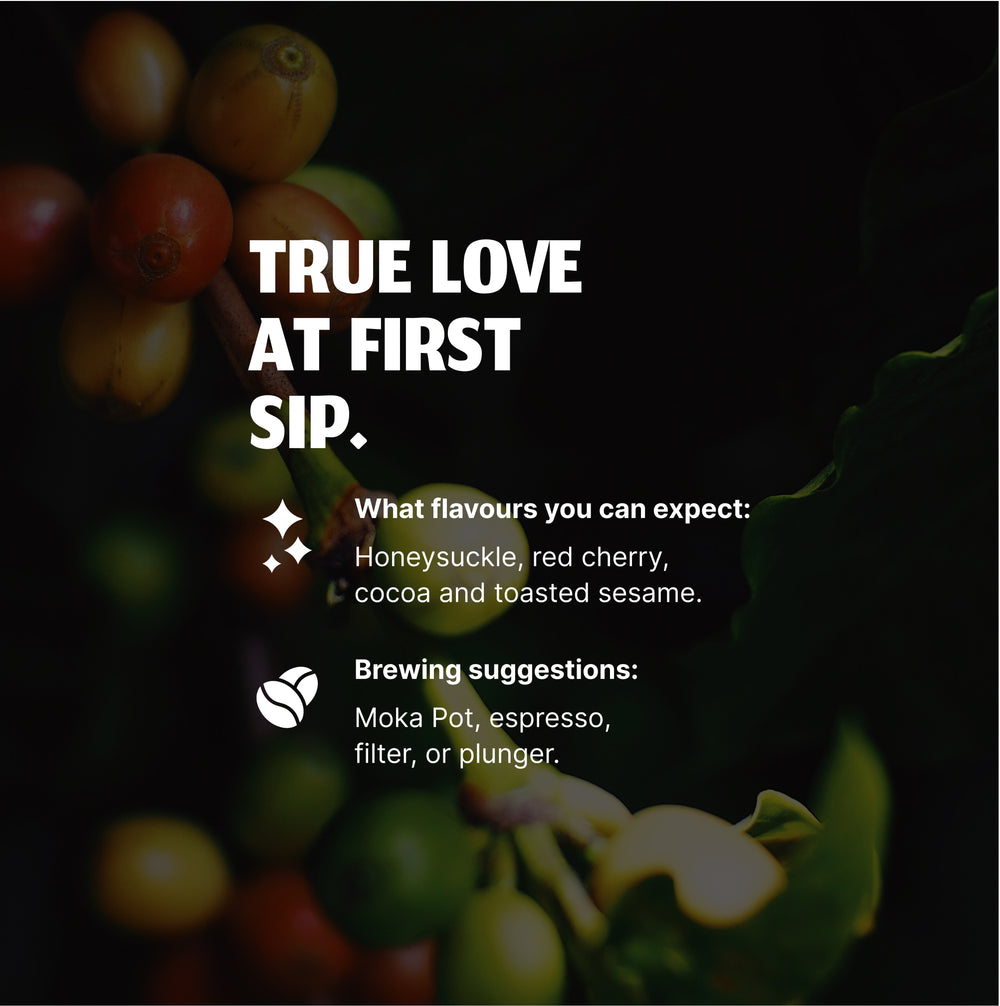 Lovers Blend