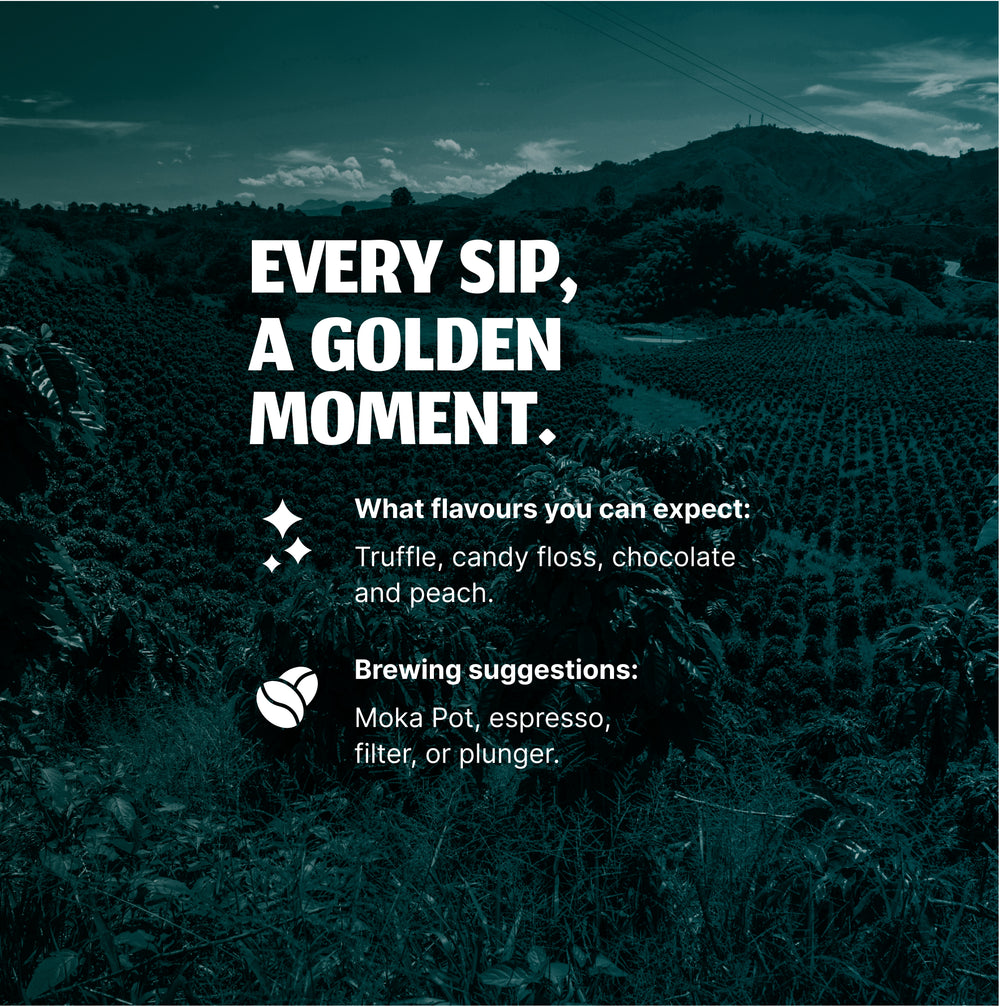 Malawi Gold