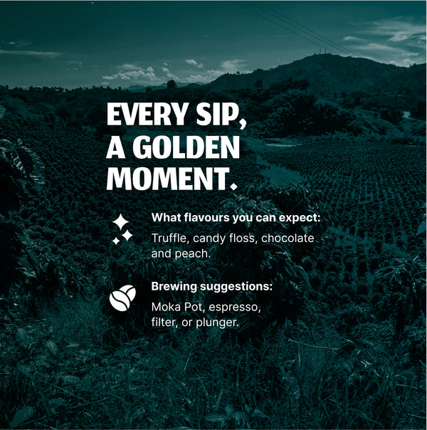 Malawi Gold