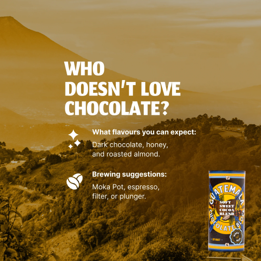 Guatemala Chocolate Block Refill