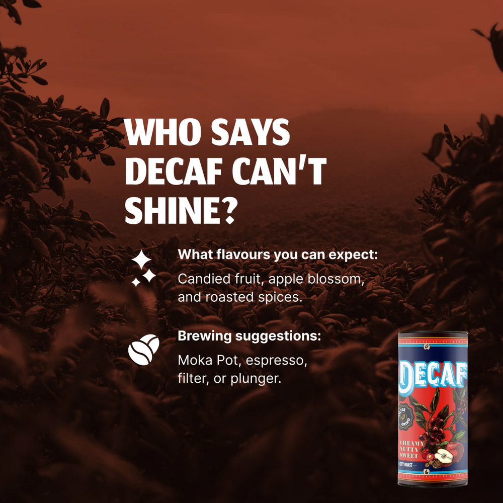 Tribe Decaf Refill